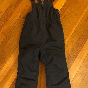 Land's End Snowpants (NEVER WORN)